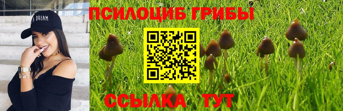 Галлюциногенные грибы мухоморы Назрань